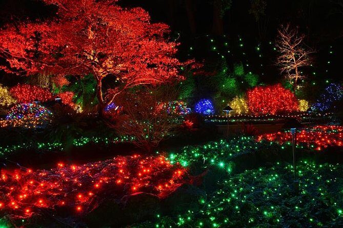 Victoria and Butchart Gardens Christmas Tour - The 90-Minute Cruise: Wildlife Watching Without Planning It Yourself