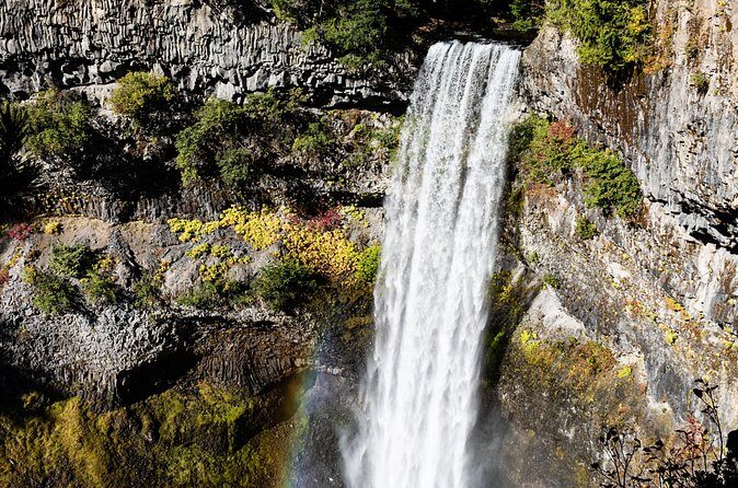 Waterfalls to Whistler Private Tour One Way - Brandywine Falls Provincial Park: the short forest walk that feels special