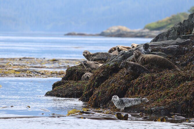 Whale Watching Adventure from Vancouver BC - Steveston Village: A Great Place to Start Watching