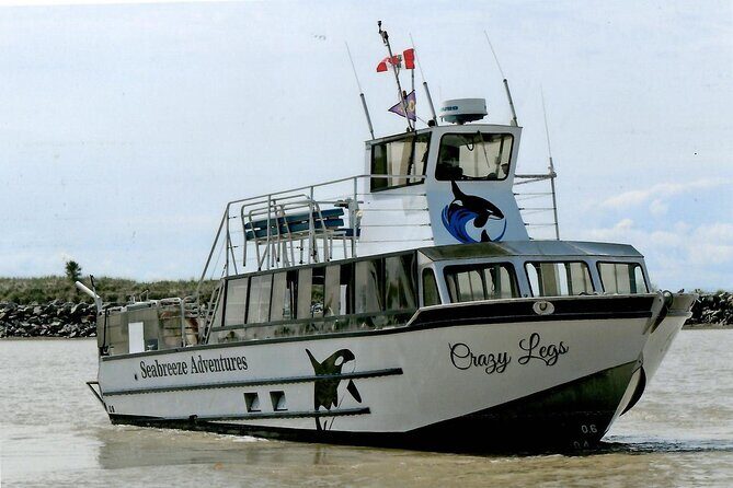 Whale Watching Adventure from Vancouver BC - The Naturalist and Captain Teamwork: How You Get Closer Responsibly