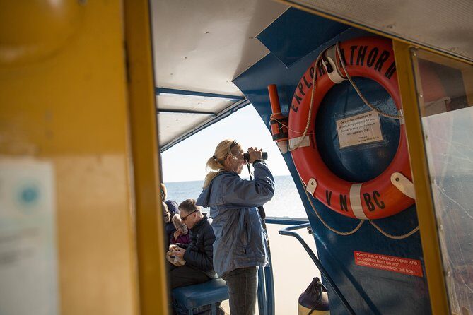 Whale-Watching Tour from Vancouver - Price and value: is $157.09 worth it for Vancouver whale watching?