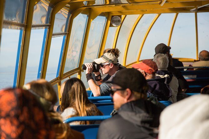 Whale-Watching Tour from Vancouver - Who this tour suits best (and what to ask if mobility is a concern)