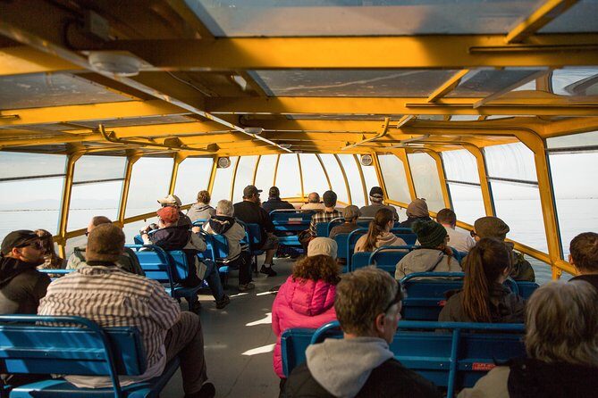 Whale-Watching Tour from Vancouver - Tips to improve your odds and make the ride more comfortable