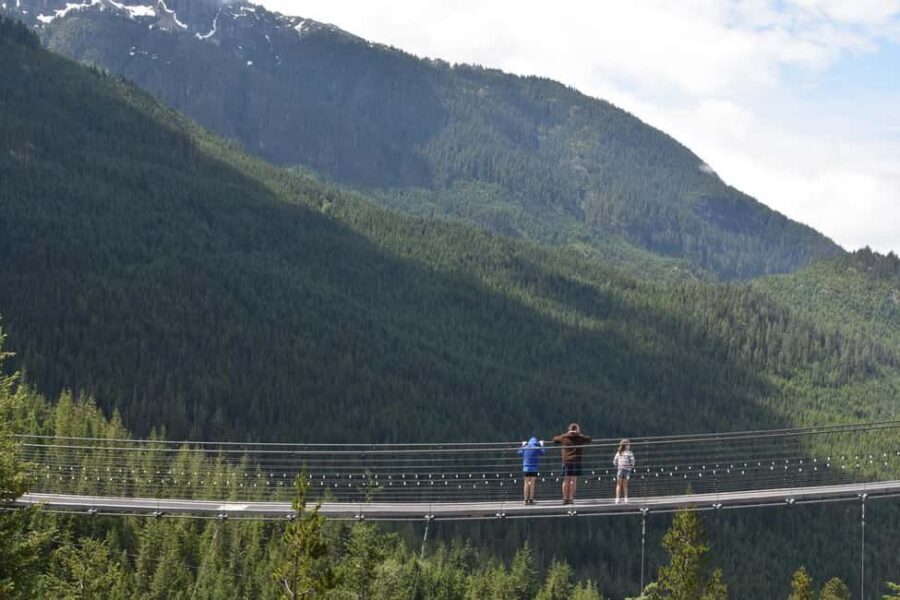 Whistler, Sea to Sky Gondola, and Shannon Falls Day Trip - Sea to Sky on a Day Trip: The Right Fit for Your Style