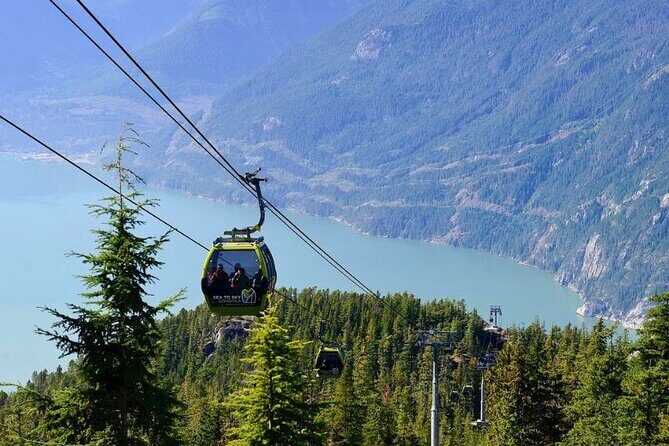 Whistler, Shannon Falls & Sea to Sky Gondola Tour from Vancouver - Shannon Falls Provincial Park: a 335-meter waterfall walk
