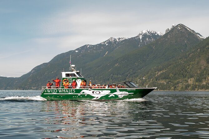 Wild Whale Watching Experience - Open Air Vessel - Key Highlights You’ll Actually Care About