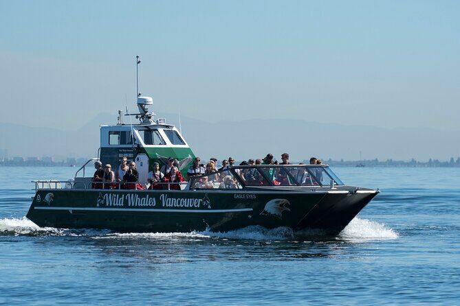 Wild Whale Watching Experience - Open Air Vessel - What You Might See: Orcas, Humpbacks, Minke, and Grey Whales